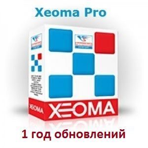 Xeoma Pro, 256 камер, 1 год обновлений
