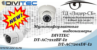 Новые мультиформатные видеокамеры DIVITEC в ТД «Лидер-СБ»
DT-AC7212BF-I2
DT-AC7201DF-I2