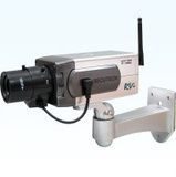 Пополнение в линейке видеокамер RVI.
RVI
RVi-167 (12 мм)
RVi-167(16мм)
RVi-169LR
RVi-169SLR
